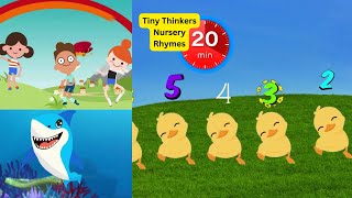 Baby Shark Dance 10 Little Duckies Counting Numbers Bingo  many more Tiny Thinkers Rhymes [upl. by Ahsahs]