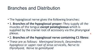 Hypoglossal Nerve [upl. by Trillbee491]