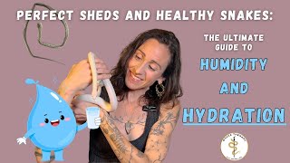 Beyond The Perfect Snake Shed A Guide to Humidity and Hydration [upl. by Hcib]