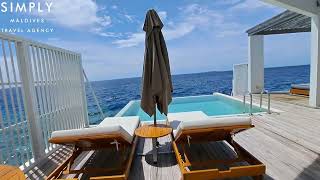 Amilla Maldives Resort  Reef Water Pool Villa Room Tour [upl. by Rora493]