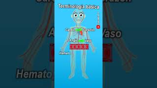 Terminología médica  Terminología de enfermería  Terminología de ciencias de la salud [upl. by Kleeman819]