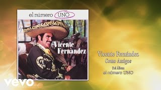 Vicente Fernández  Como Amigos Cover Audio [upl. by Latnahs]