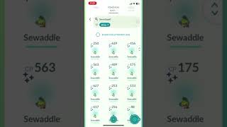 SEWADDLE COMMUNITY DAY RECAP pokemon [upl. by Philippine433]