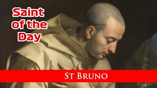 St Bruno  Saint of the Day with Fr Lindsay  6 October 2024 [upl. by Naret]