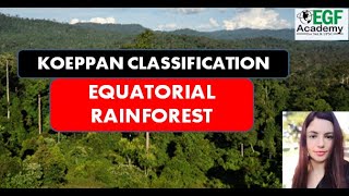 Equatorial Rainforest Climate l Koeppens Climate Classification l Equatorial Rainforest Biome [upl. by Bearnard]