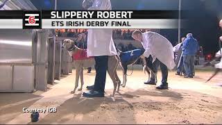 2013 IRISH DERBY FINAL  SLIPPERY ROBERT [upl. by Wilonah658]