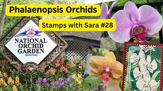 Phalaenopsis Orchids  Stamps with Sara 28 [upl. by Elisabetta]