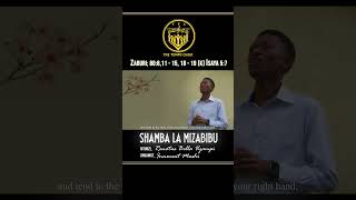 VERSE 4  SHAMBA LA MIZABIBU [upl. by Stauffer144]