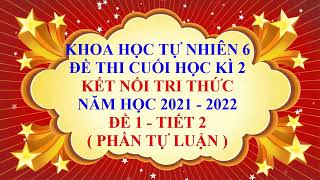 Khoa học tự nhiên lớp 6  Kết nối tri thức  Đề thi học kì 2  Năm học 2021  2022  Tiết 2 [upl. by Jan516]