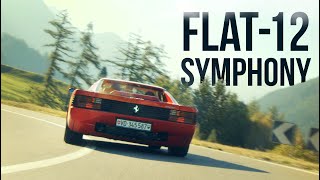 Ferrari Testarossa  Pure engine amp exhaust sound  Onboard [upl. by Oona]