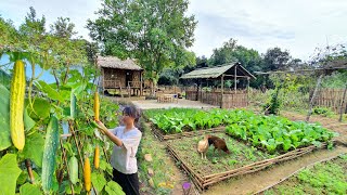 Full Video 75 Days of farm life Gardening Farming Cooking Animal Care  Sơn Thôn [upl. by Bendicty]