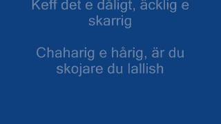 Marc Divine  Rinkeby Svenska med text [upl. by Nhor840]