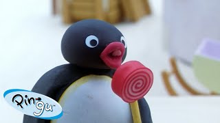 Best of Pingu Part 1  Pingu  Official Channel  Cartoons For Kids [upl. by Tortosa21]