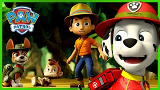 1 Hour of Marshall Rescues 🔥  PAW Patrol  Cartoons for Kids Compilation [upl. by Golda]