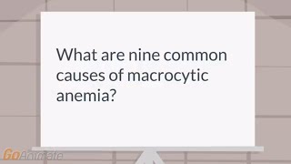 What are the causes of macrocytic anemia [upl. by Ermine]