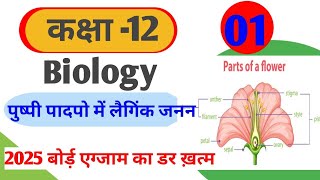 पुष्पी पौधो मे जनन  Reproduction in flowering plants angiosperm plant  class 12 Biology in hindi [upl. by Rist809]