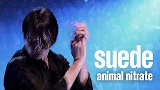 Suede  Animal Nitrate LIVE at the Royal Albert Hall [upl. by Akkire]