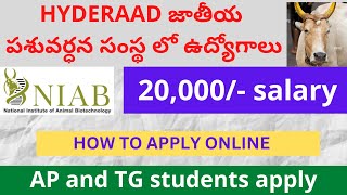 NIAB PA RECRUITMENT 2024  NIAB HYDERABAD NOTIFICATION 2024 NIAB RECRUITMENTAPPLY ONLINE 2024 [upl. by Ssitnerp17]