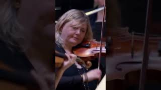 Shostakovich Symphony No 5  Michael Tilson Thomas [upl. by Fiora]