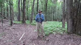 Secrets to Working With Dowsing RodsWith Tips and Exercises [upl. by Fitzpatrick]