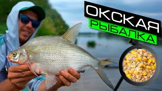 ФИДЕРНАЯ ЛОВЛЯ НА РЕКЕ  РЫБАЛКА НА ФИДЕР  FROS FISHING [upl. by Onidranreb]