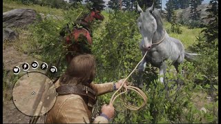 Red Dead Redemption 2 Free Nokota white roan horse location [upl. by Fanchon434]