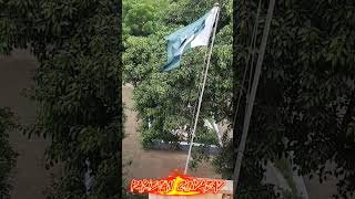 Pakistan Flag 14 August Celebrations Song Pakistan Zindabad pakistanzidabad shorts [upl. by Basilius]