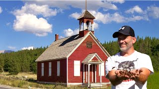 Old School House INFESTED with YELLOW JACKETS Wasp Nest Removals [upl. by Notnyw107]