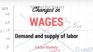 Labor Markets  Change in in Equilibrium Wage Rate and Level of Employment [upl. by Crescint]