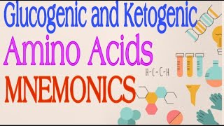 Glucogenic and Ketogenic Amino Acids MNEMONICS  Lecture 3 [upl. by Mackenie]