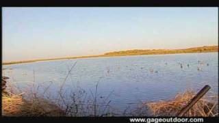 Duck Hunting Mexico with Pintail Lodge [upl. by Theall973]