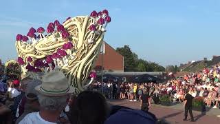 Mycelium  Corso Zundert 2024 tweede doorkomst [upl. by Prissy]