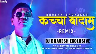 Kacha Badam কাঁচা বাদাম Video Remix  Dj Bhavesh Raipur [upl. by Asiral174]