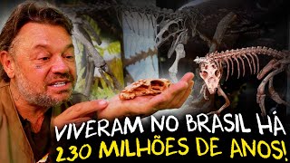 INCRÃVEL ESTES SÃƒO OS FÃ“SSEIS DE DINOSSAURO MAIS ANTIGOS DO PLANETA [upl. by Trstram]