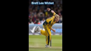 brett lee best bowling  brett lee best bowling action [upl. by Enneibaf]