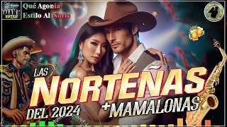 Puras Cumbias Norteñas Para Bailar Mix 2025🕺💃🏽 Las Norteñas Más Chingonas💃🏽💫 Cumbias Norteñas 2025 [upl. by Khichabia501]