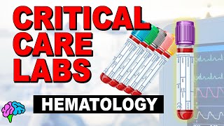 Hematology  Complete Blood Count CBC  Critical Care Labs [upl. by Eanrahc372]