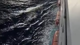 Exploring Carnival Glory Live QampA and Ship Tour [upl. by Accissej]