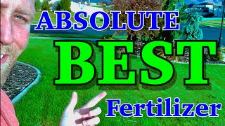 BEST Fertilizer for a BETTER GREENER LAWN [upl. by Mosira465]