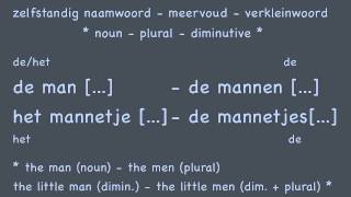 Nouns 33 diminutives  Learn Dutch course  Zelfst naamw verkleinwoorden Nederlands [upl. by Lili]