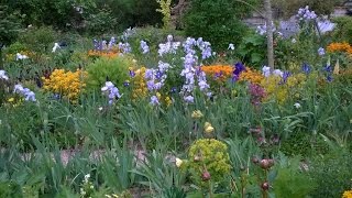 Monets Garden at Giverny 1452015 [upl. by Yanat]