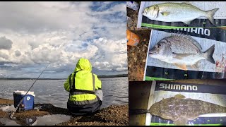 Land based fishing Lake Macquarie [upl. by Keriann928]