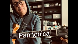 Pannonica Solo Guitar [upl. by Sadoff]