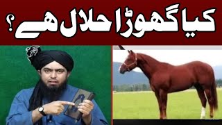 Kya Ghorey ka gosht Horse meat Halal hai Engineer Muhammed Ali Mirza [upl. by Locke595]