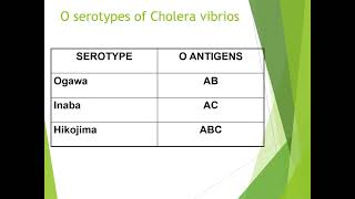 Vibrio Cholerae [upl. by Stormi]