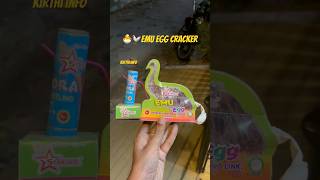 EMU Egg Fancy Cracker diwali crackers shortsfeed shortvideo shorts [upl. by Ninaj534]