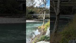 From the mountain the river flows… Mt Baker Nooksack river out in Deming WA [upl. by Nrubliw]