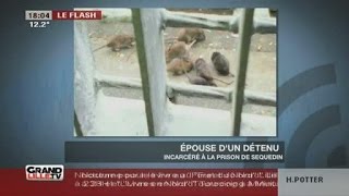 Des rats à la prison de Sequedin [upl. by Noseaj]