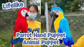 Realistic Blue and Red Parrot Puppet For Sale  Animal Puppet [upl. by Monreal]