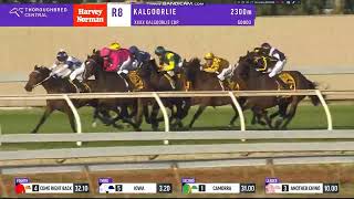 2024 Kalgoorlie Cup [upl. by Havelock]